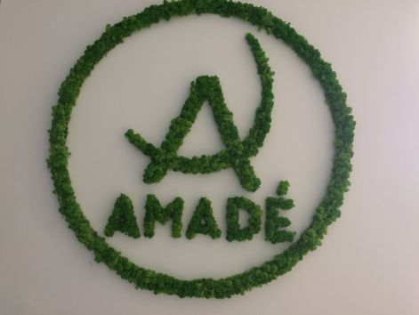 amade_logo_foto.jpg