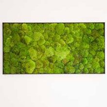 moss-panel-40x100-cm.jpg